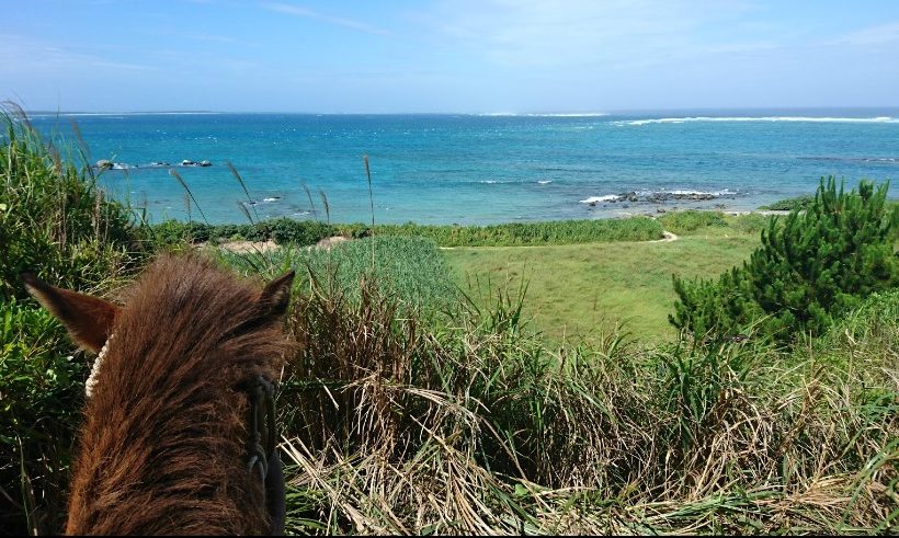 「海を望み、崖を巡る」 2