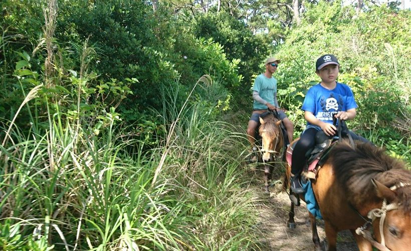 「海を望み、崖を巡る」 5