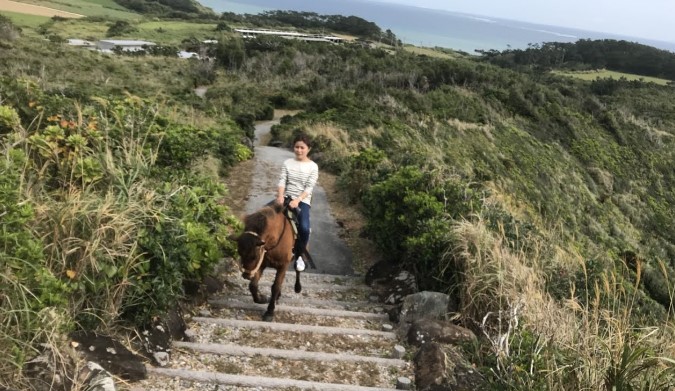 「海を望み、崖を巡る」 7