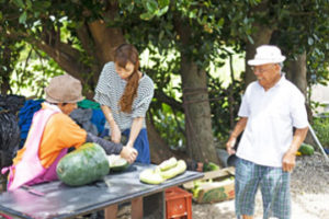 ホームビジット