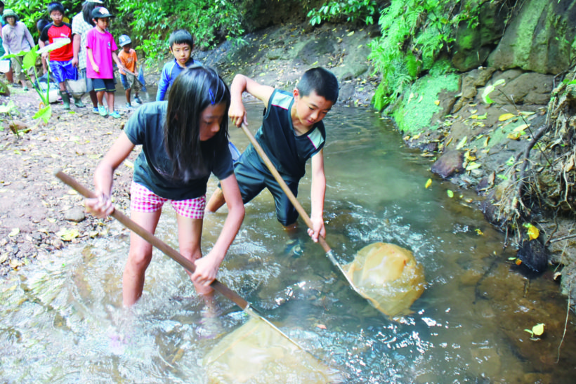 水と緑の自然教室 1