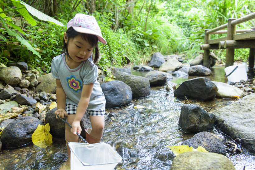水と緑の自然教室 2