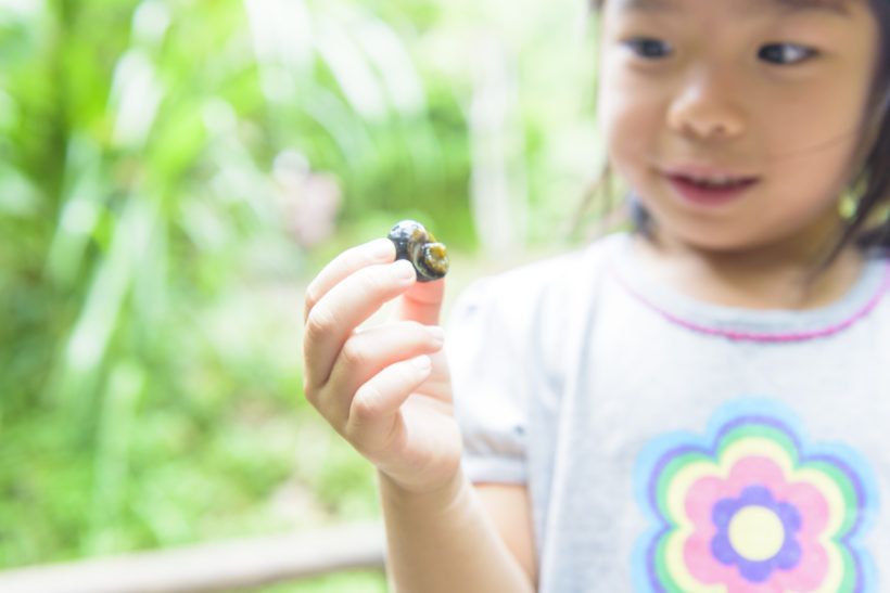 水と緑の自然教室 5
