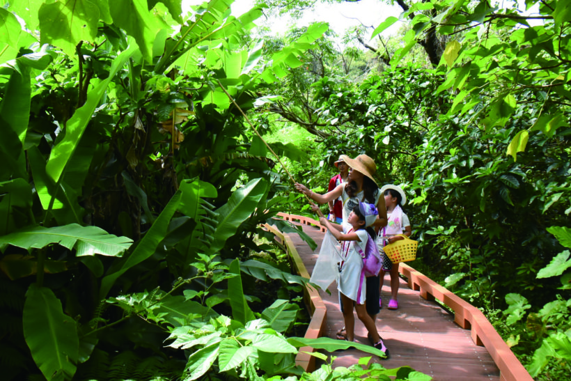 水と緑の自然教室 6