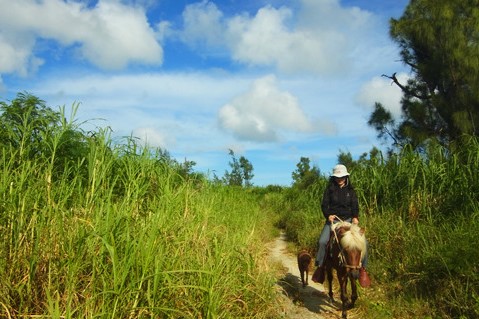 「森と浜散歩」 2