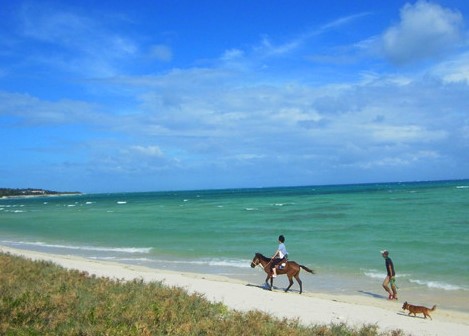 「森と浜散歩」 4