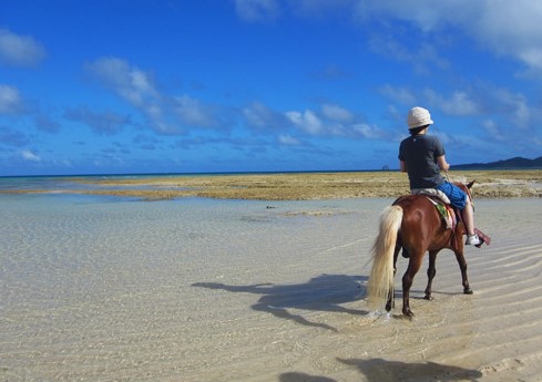 「森と浜散歩」 5