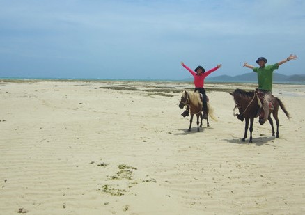 「森と浜散歩」 6