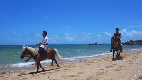 「森と浜散歩」 7
