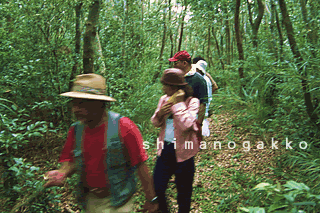 ニブチの森散策 1