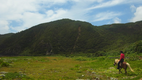 「森に消えた集落散策」 1