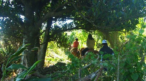 「森に消えた集落散策」 2