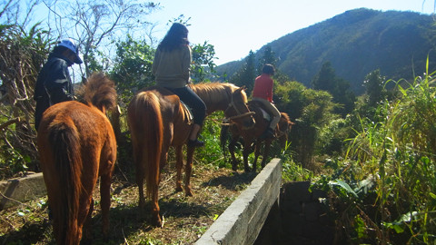 「森に消えた集落散策」 4
