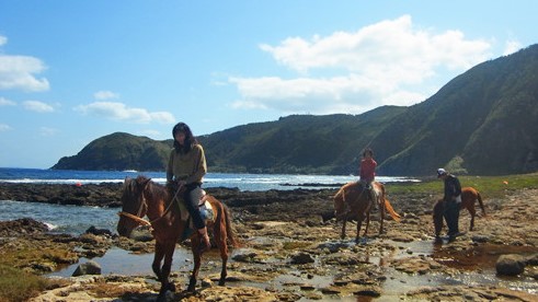 「森に消えた集落散策」 6