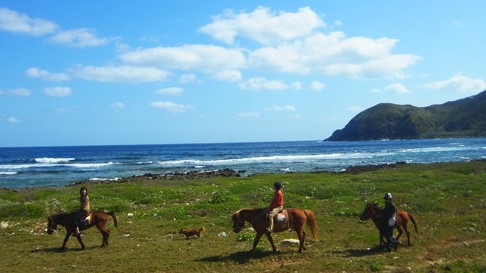 「森に消えた集落散策」 7
