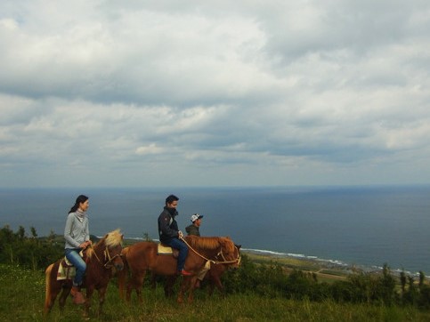 「天空をめざす」 3