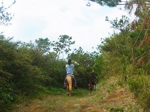 「天空をめざす」 2