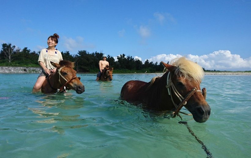 「海馬遊び」 1
