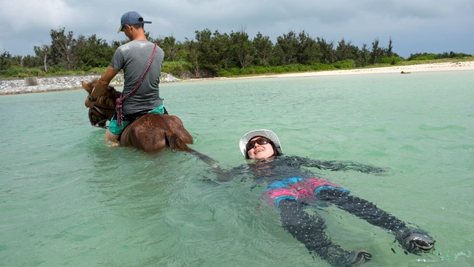「海馬遊び」 3