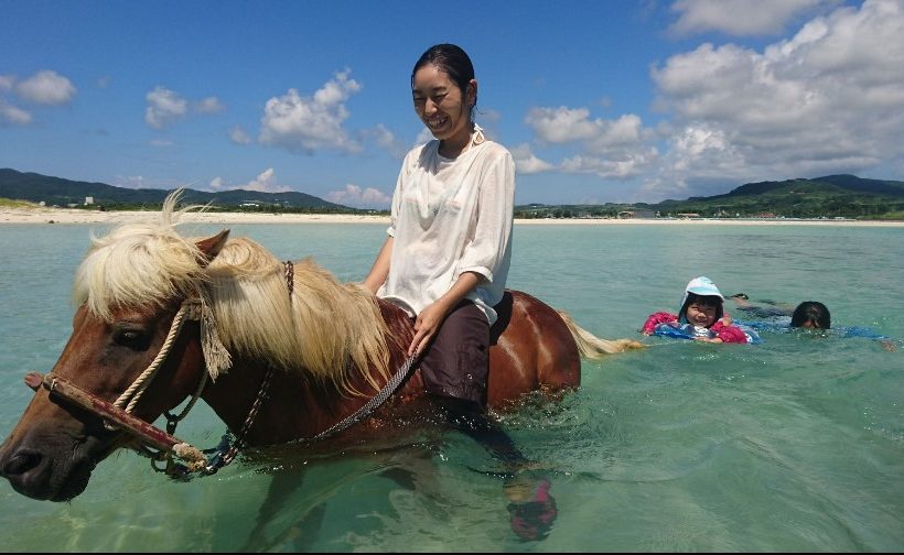 「海馬遊び」 4