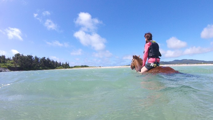 「海馬遊び」 5