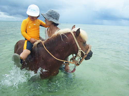 「海馬遊び」 6