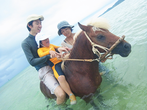 「海馬遊び」 7