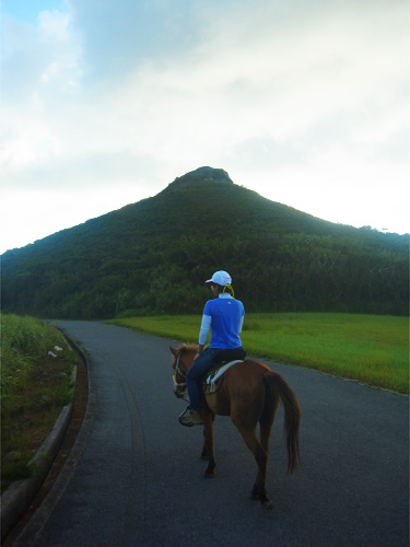 「グスク(城)へあがる」 2