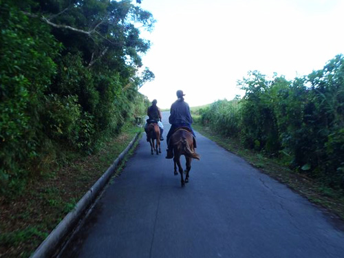 「グスク(城)へあがる」 3