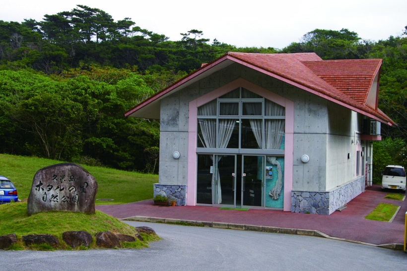 ヤジヤーガマ洞窟探検 2