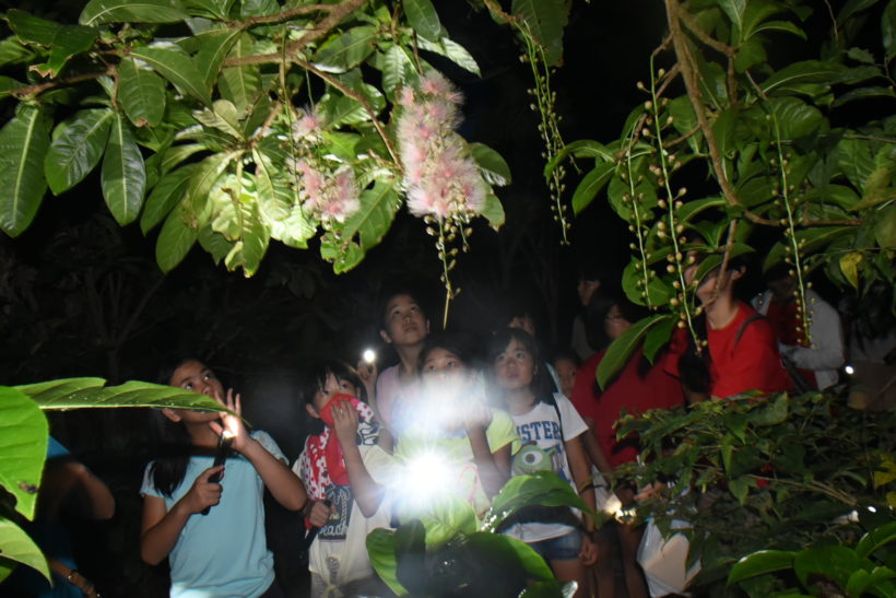 ミステリーナイトウォーク 2