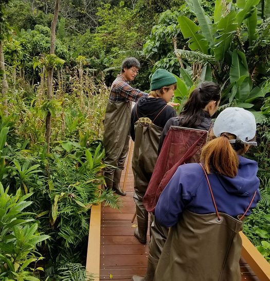 ビオトープ作り 2