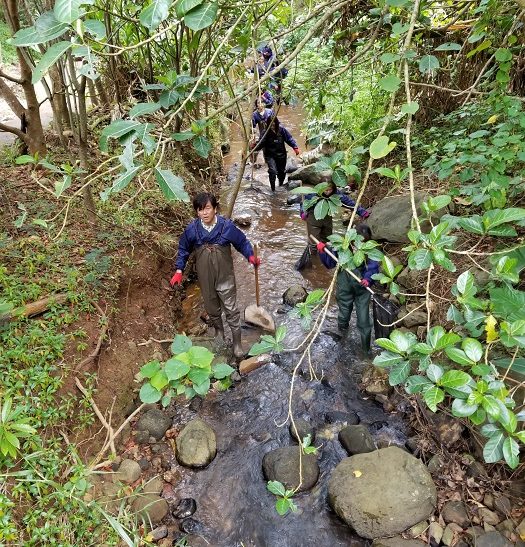 ビオトープ作り 1