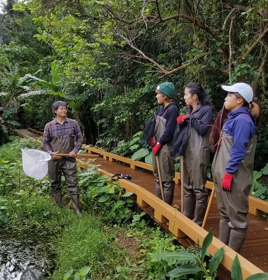 ビオトープ作り 3