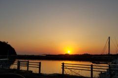 あたり前の風景に、動けなくなる時