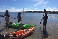 ウミガメが５匹も見れました！