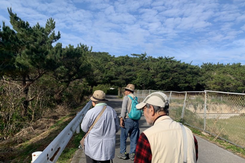 だるま山探検①
