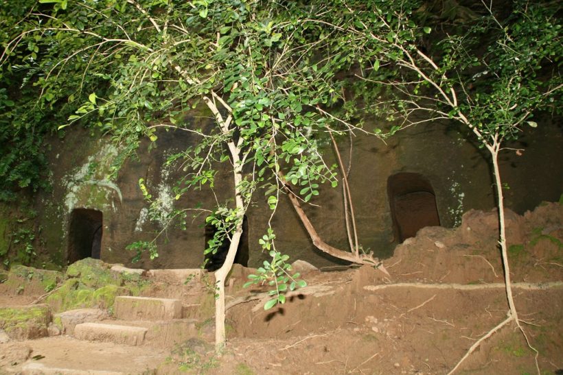 久米島平和学習 1