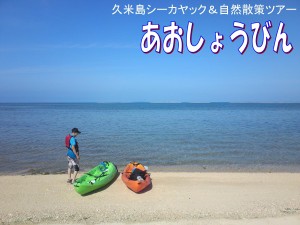 あおしょうびんアイコン