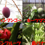 コンビニサントピア