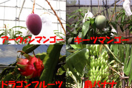 コンビニサントピア