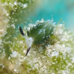 ダイビングショップ  プラスアルファ 3