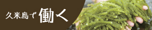 久米島で働く
