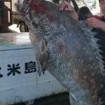 琉真丸（りゅうしんまる）