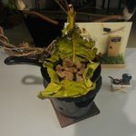 ステーキ・キャンプ