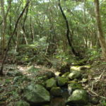 ラムサール条約登録地　久米島の渓流・湿地