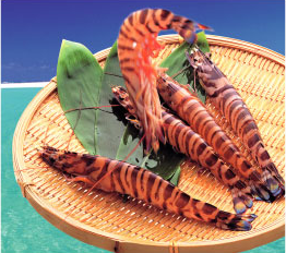 久米島漁業協同組合