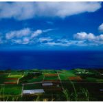 宇江城跡からの景色